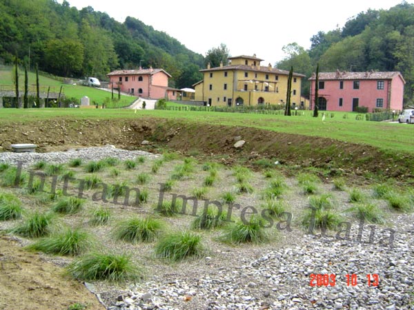 constructed wetland